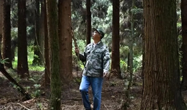 Bwin必赢集团-监守自盗！2021年，江苏一护林员2年多猎杀8只，清洗尸体时暴露